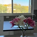 Apartament Modern Apartment, Large Backyard