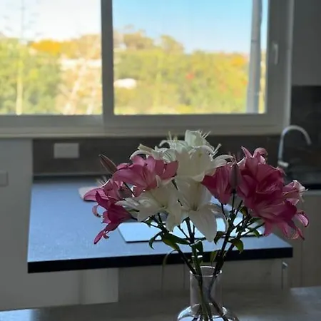 Apartamento Modern Apartment, Large Backyard